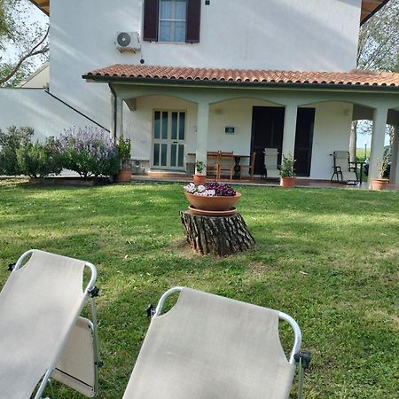 Agriturismo Uliveto Gretacci Montemerano Zewnętrze zdjęcie