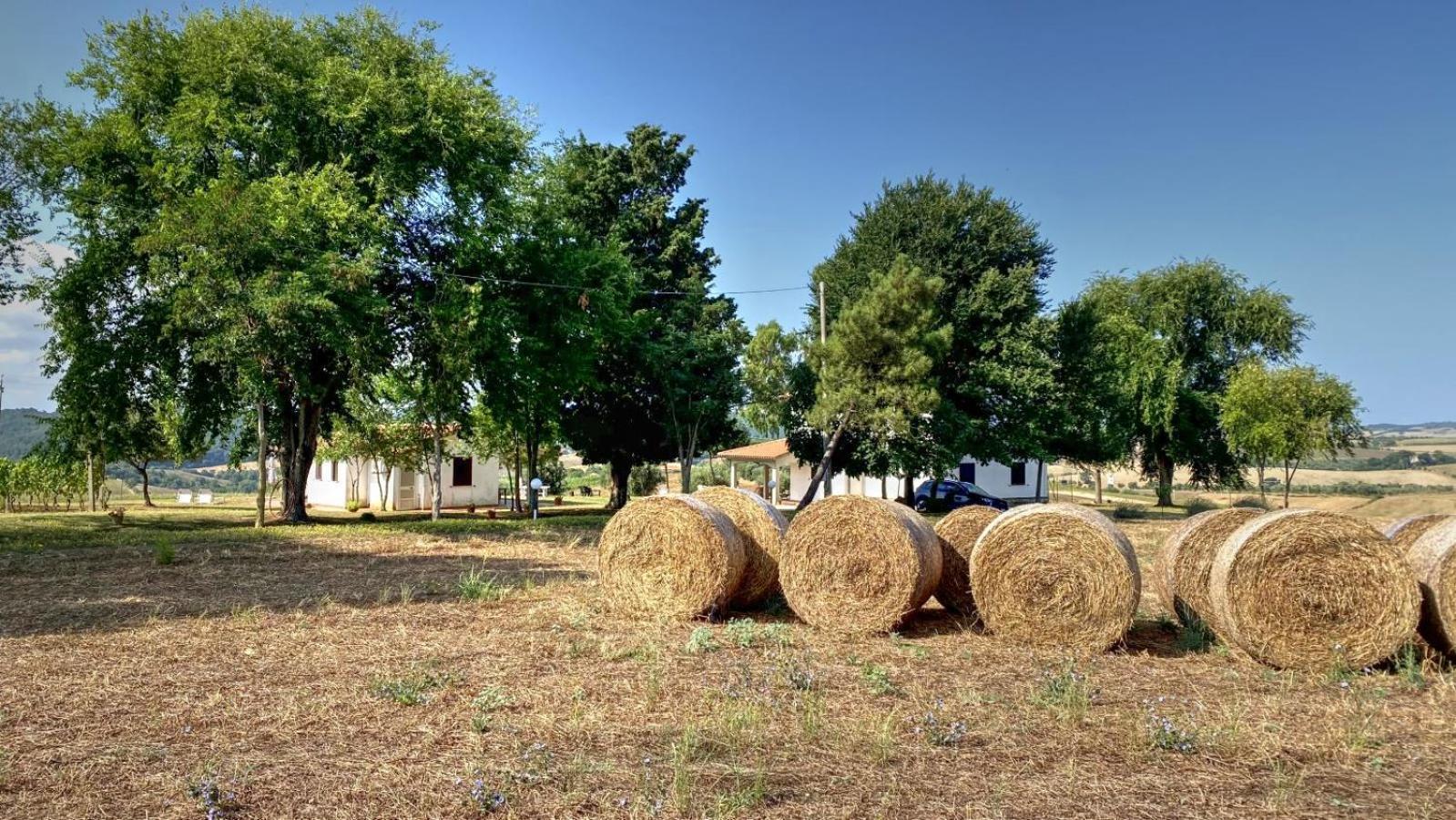 Agriturismo Uliveto Gretacci Montemerano Zewnętrze zdjęcie