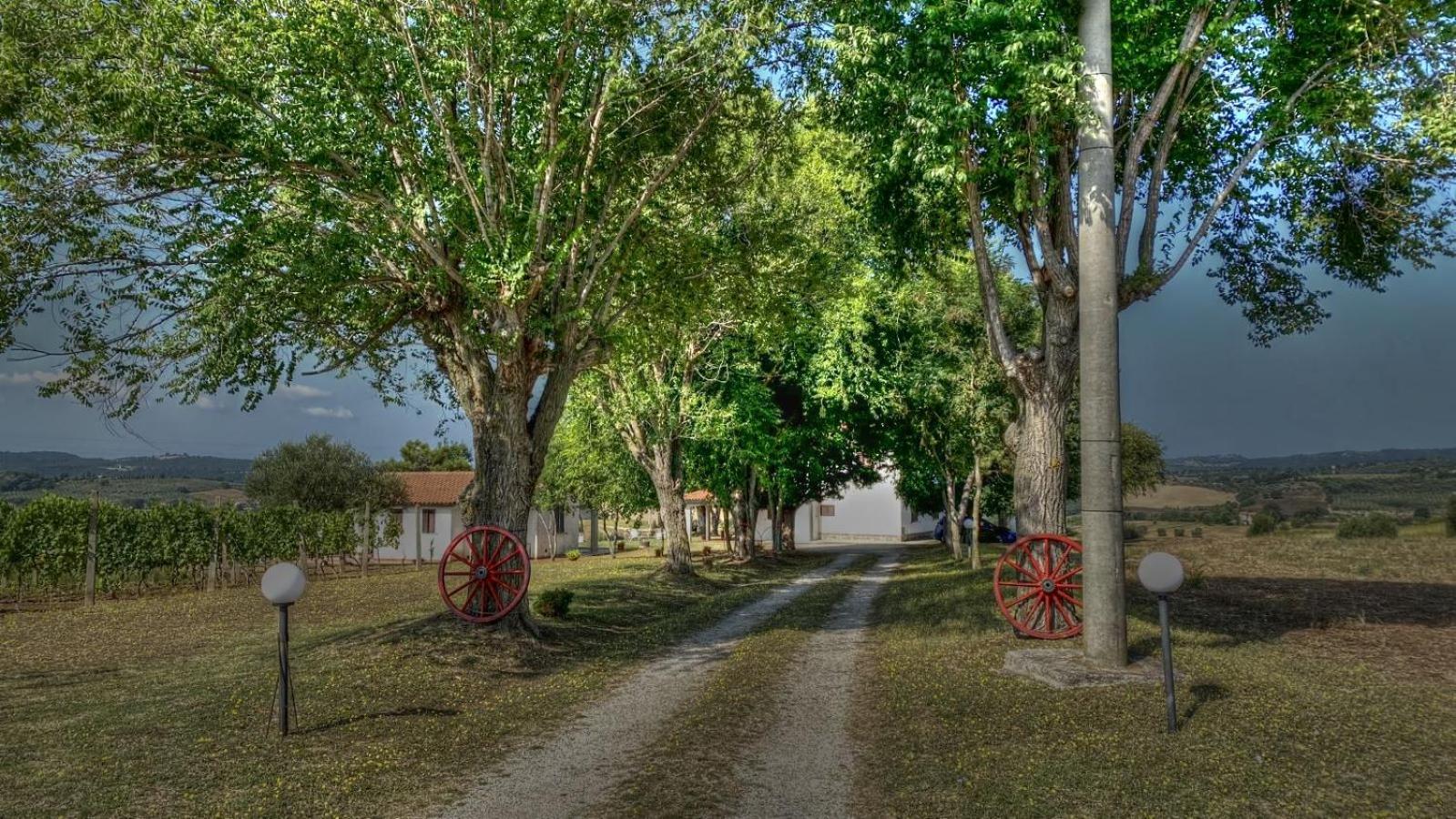 Agriturismo Uliveto Gretacci Montemerano Zewnętrze zdjęcie