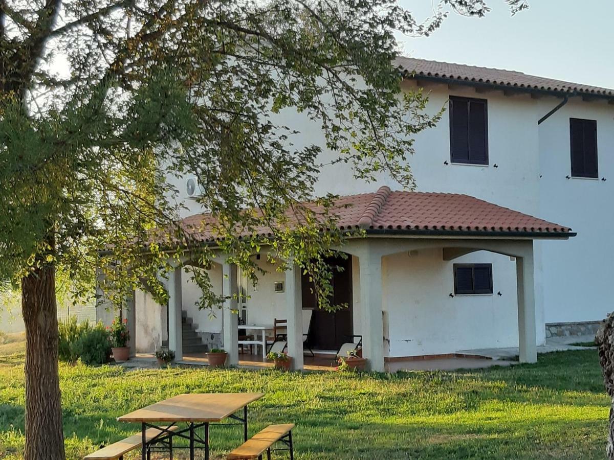 Agriturismo Uliveto Gretacci Montemerano Zewnętrze zdjęcie