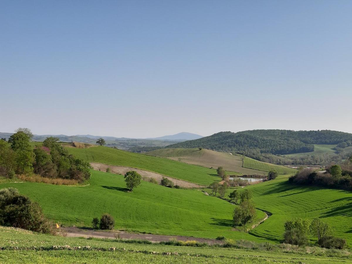 Agriturismo Uliveto Gretacci Montemerano Zewnętrze zdjęcie