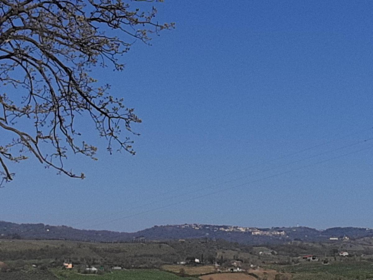 Agriturismo Uliveto Gretacci Montemerano Zewnętrze zdjęcie